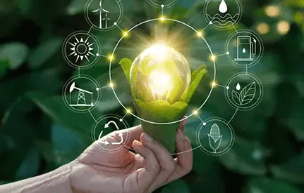 Environmental Audits and Inspections